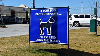 These signs reminding dog owners to clean up after their animals were posted in various places along the outskirts of the property.