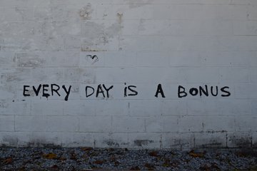 Though I did get a good photo out of the place where we turned around, with this graffiti that read, "Every day is a bonus."  I mean, they're not wrong.