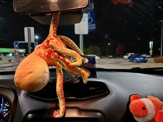 Woomy holds Elyse's parking placard while hanging from the mirror, and complained about how much he didn't like hanging from the mirror.