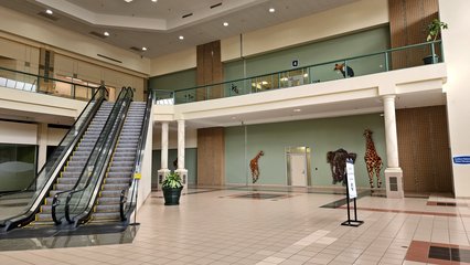 The mall entrance to the former JCPenney, now largely walled in.  However, there is a new elevator next to the old mall entrance, intended for easy access to the upper level entrance from inside the mall.  The original mall elevator is some distance away, near the center of the complex.