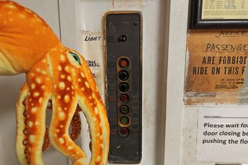 Woomy took a look at the elevator panel at the storage facility, and then declared, "I don't like that!"