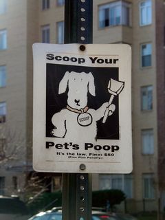 During my January 18 DC trip, I spotted this sign during my walk along 16th Street NW. There were actually a number of similar signs along 16th Street. Perhaps there's a pooper-scooper problem?