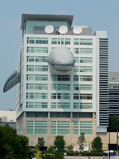 Meanwhile, in Silver Spring, Discovery Communications adorned its building with a giant shark as a promotion for "Shark Week".