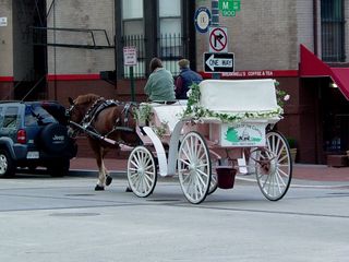After a trip to the Infoshop, I spotted something you don't normally see in DC, and particularly not in the Shaw neighborhood - a horse-drawn carriage.