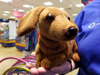 This stuffed dachshund was adorable, and reminded me a little of Greta.