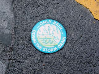 I thought this was a cute little sign on top of a storm drain on Pacific Avenue, while at the same time reminding people not to dump whatever into the storm drains.