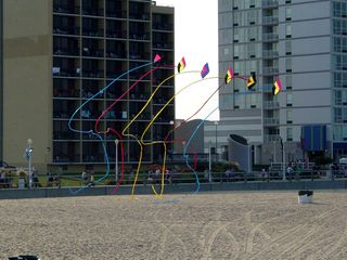 With the oceanfront hotels in the background, the kite flies.