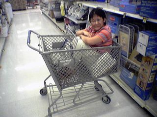 And after placing the iron firmly in the cart, she then placed herself firmly in the cart.  I even offered to wheel her around in it, but she decided to climb back out (awww...).