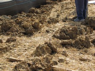 This is what the ground looked like at the demonstration site. No grass - just dirt and straw. Pretty rough terrain. And there was mud, too, as I unfortunately discovered firsthand when I stepped in it.