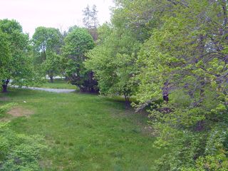 This is the first glimpse I got of the view off of my balcony. I have an amazing amount of privacy, since the property next to my building is vacant. 