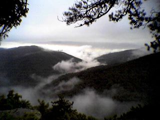 This photo was taken August 9 from Twenty Minute Cliff on the Blue Ridge Parkway with my cell phone. Not too shabby. I like the way the clouds are low, amongst the mountains.