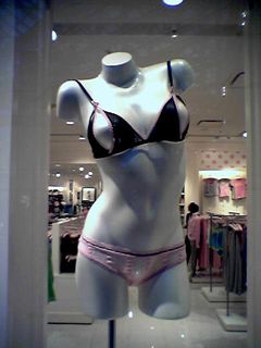 I'd dare say that with this little number in the window of Victoria's Secret, Victoria has no more secrets left...