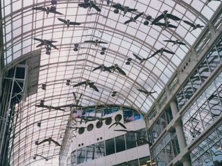 Also in this area is the Toronto Eaton Centre's famous flock of Canadian geese. It was designed by Michael Snow, and is entitled Flight Stop, consisting of life-size Canadian geese hung from the ceiling.