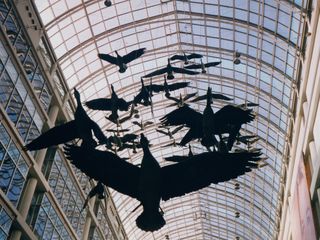 Also in this area is the Toronto Eaton Centre's famous flock of Canadian geese. It was designed by Michael Snow, and is entitled Flight Stop, consisting of life-size Canadian geese hung from the ceiling.