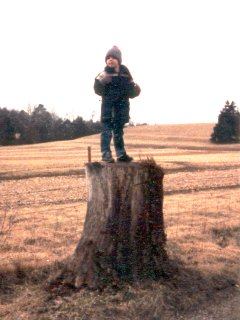 Here, I’m standing on a tree stump in a field near War Eagle Mill near Rogers.