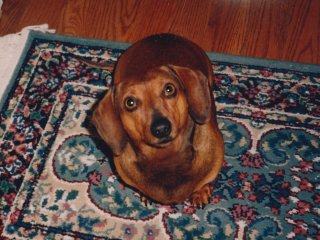 Greta stares up at the camera around 1997.