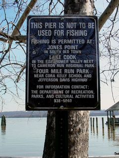 One point to note... no fishing, please!