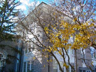 Behind Wilson Hall, next to Keezell Hall, this tree is still hanging on to a few yellow leaves, though most of its leaves have scattered to the four winds.