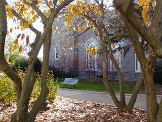 Looking beyond the trees, we find more trees close to Wilson Hall that have already shed most of their leaves.