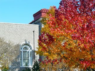 Behind Wilson Hall and Maury Hall, you definitely have a diversity of colors in the leaves!