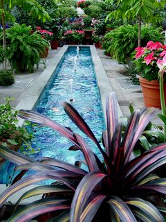 In the Garden Court, just behind the main lobby, the centerpieces are two long fountains...