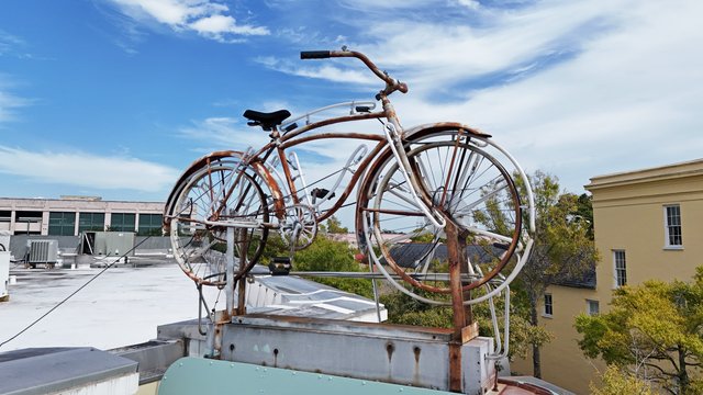 Bicycle fitted with neon atop the sign at 460 King Street, formerly home to Robinson's Bicycle Shop.