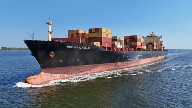 The MSC Manzanillo, a Portuguese-flagged container ship, traveling up the Cooper River.