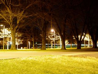 The trees, in their majestic beauty, also shield the park from Veterans Memorial Drive, the bypass through Charlottesville, which runs alongside McIntire Park. Traffic from this bypass can be seen passing by, shown as the white line running left to right along the center of the photo.