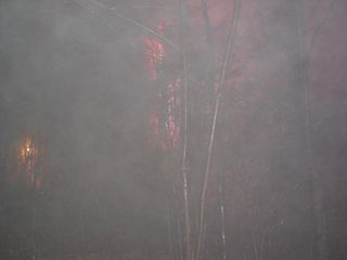Taken along the trail near the star, the fog is thick, as shown in this flash photo.