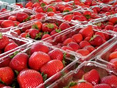 Baskets of strawberries, 2012