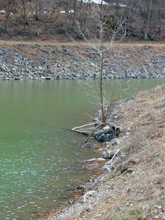 Out by the boat docks, Lake Moomaw comes from behind, so to speak, and then opens up wide.