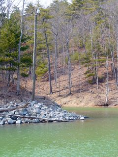 To the left of the docks is this small cove...