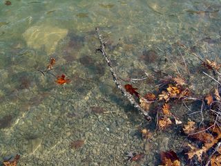 Meanwhile, Lake Moomaw is as beautiful up close as it is from a distance, with perfectly clear water...