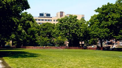 The upper level of Malcolm X Park is a wide grassy mall, shaded by trees around the edges.