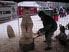 A man uses a chainsaw to carve a polar bear sculpture from a large piece of wood.