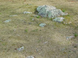 The ground has a number of rocks in it. Wonderful to look at, but nasty if you trip on them.