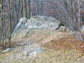 The ground has a number of rocks in it. Wonderful to look at, but nasty if you trip on them.