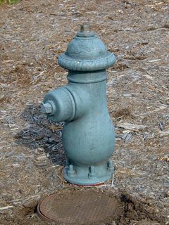 The fire hydrants in the park take on an interesting decorative shape.