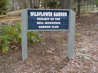 A large part of the park is a spacious wildflower garden, with paths, benches, and trees and plants galore.