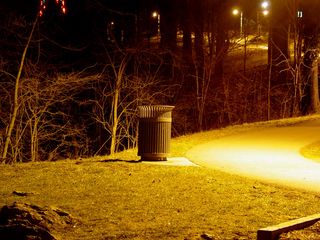 Meanwhile, within the park, lampposts light the way to both the lower parking lot (left) and also on the way up to the star.