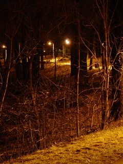 The slope at the edge of the sidewalk marks the general boundary of the park, beyond which it's heavily wooded.