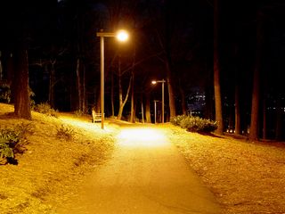When seen at night, the foot path to the Roanoke Star is indeed a sight to behold...