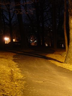 An asphalt path, presumably added later, provides a quick shortcut back to the lower parking area. However, this path is unlighted, making it less inviting as night sets in.