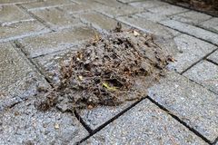 A pile of wet yard debris after power washing a brick patio.