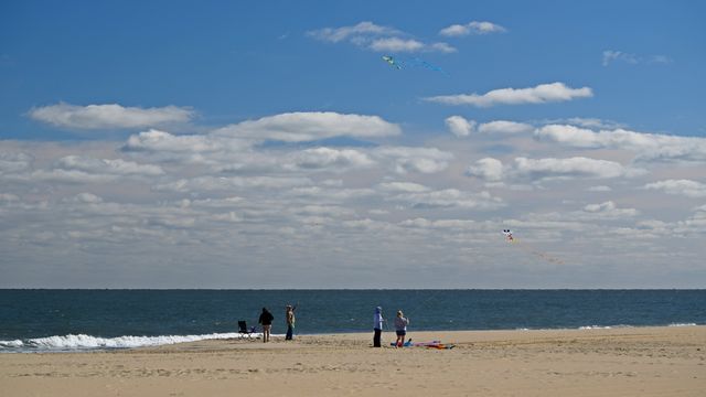 A group flies kites.