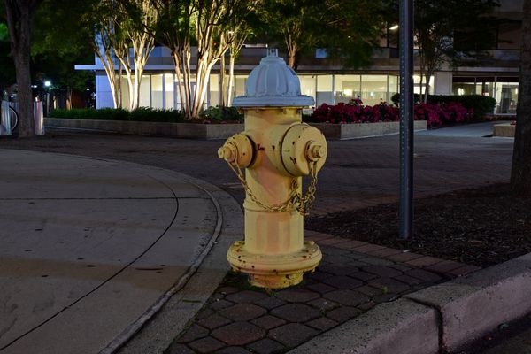 Fire hydrant near the intersection of Wilson Boulevard and North Highland Street in the Clarendon neighborhood of Arlington, Virginia.