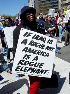 "If Iraq is a rogue ant, America is a rogue elephant!" A new way of saying that people in glass houses shouldn't throw stones.