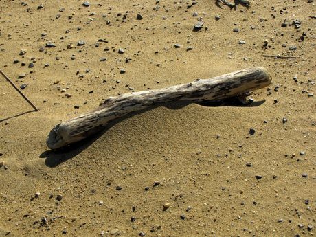 Wooden stick on South Beach.
