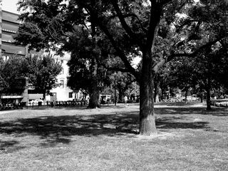 The park at the center of Dupont Circle is a place where people go to meet, relax, and play.