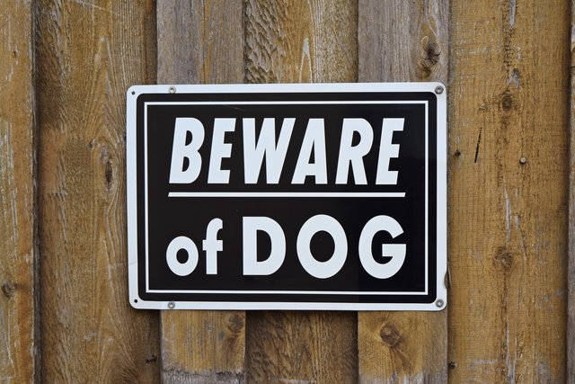 "Beware of dog" sign on a nearby gate.